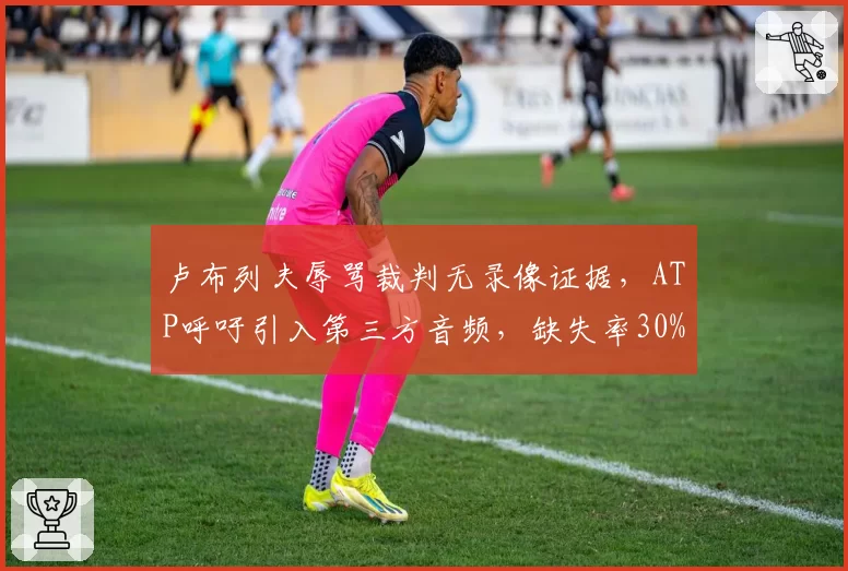 卢布列夫辱骂裁判无录像证据,ATP呼吁引入第三方音频,缺失率30%