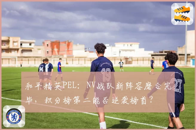 和平精英PEL：NV战队新阵容磨合完毕，积分榜第二能否逆袭榜首？